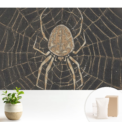 Păianjen în pânză simetric clasic