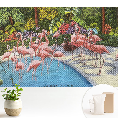 Flamingo lângă piscină