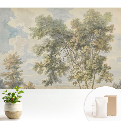 Un peisaj liniștitor de copaci și cer