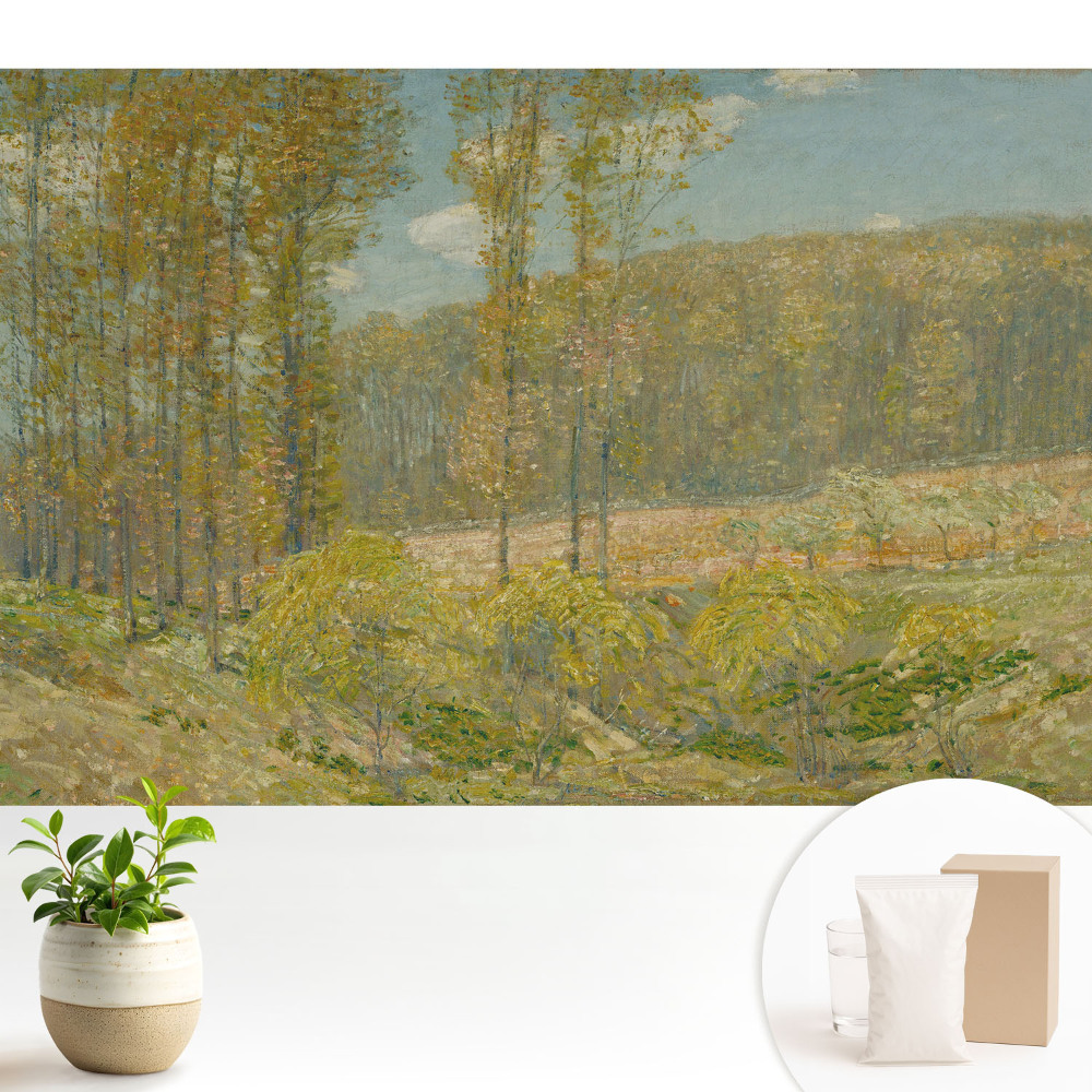 Peisaj natural într-un stil armonios