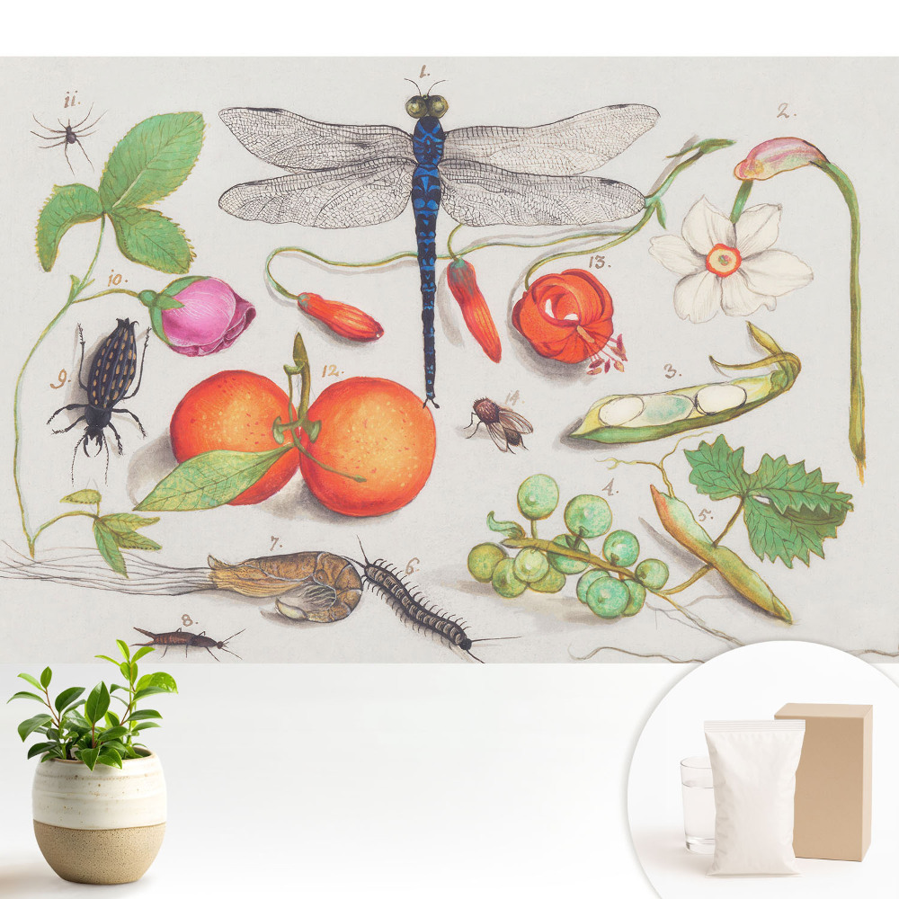 Colaj botanic cu insecte