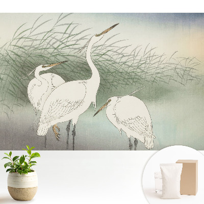 Păsări delicate printre iarbă