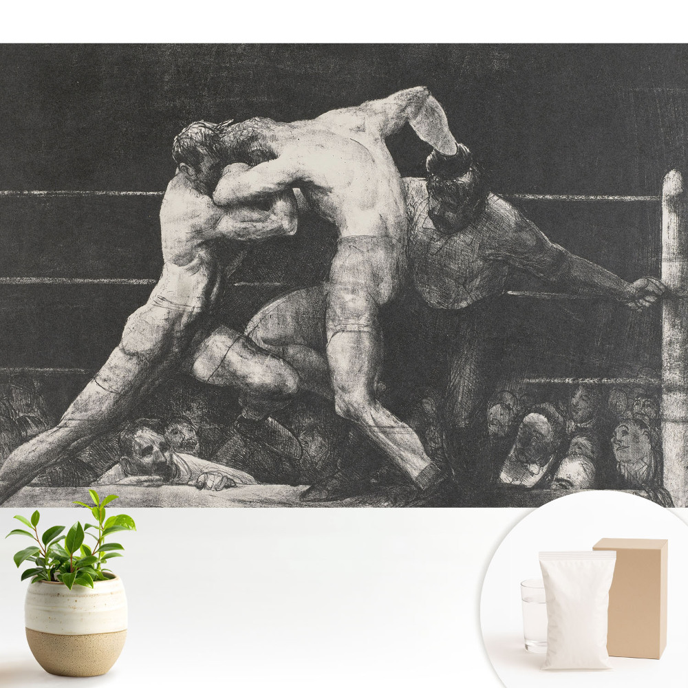 O competiție de box plină de emoții