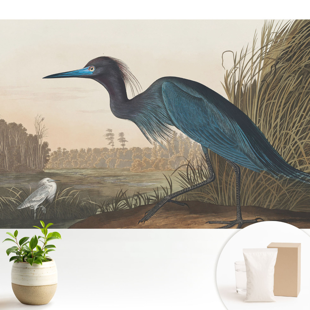 Peisaj clasic de păsări