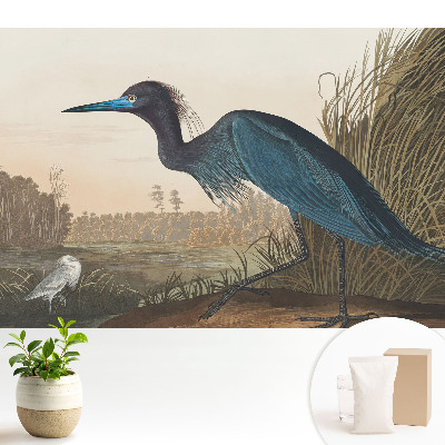 Peisaj clasic de păsări