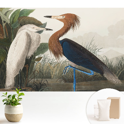 Păsări elegante în vegetație