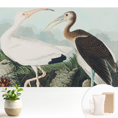 Două păsări în mediul lor natural