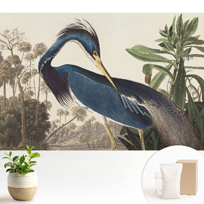 O pasăre exotică pe fundalul vegetației