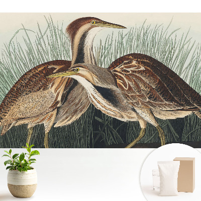 Păsări în iarbă Realism clasic Simetrie