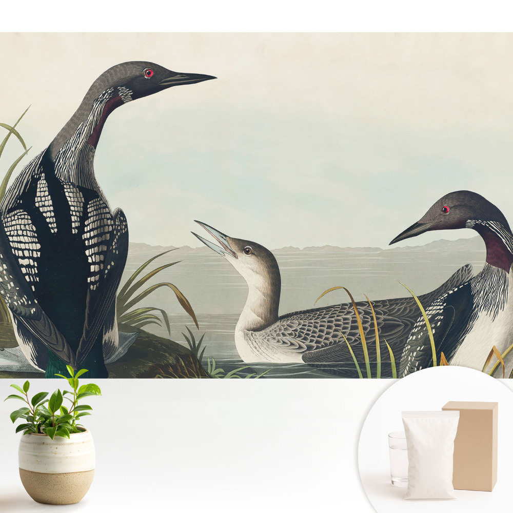 Trei păsări în stil clasic.