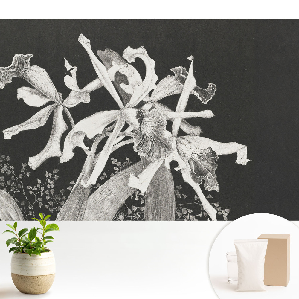 Flori elegante pe un fundal întunecat