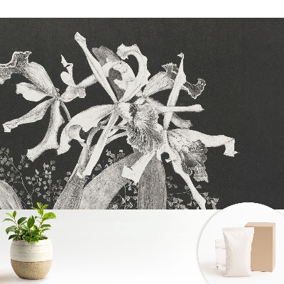 Flori elegante pe un fundal întunecat