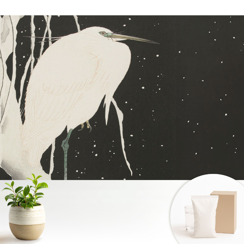 O pasăre pe o creangă într-o seară de iarnă