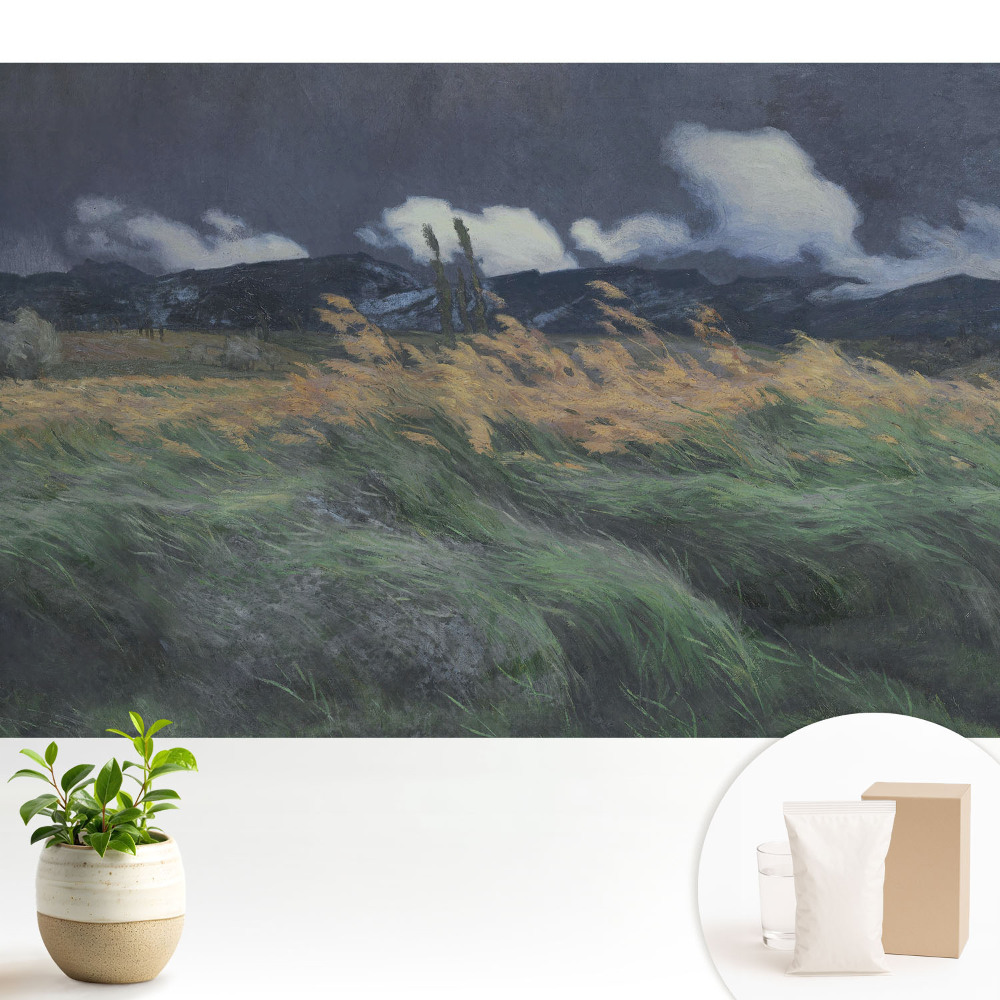 Peisaj cu nori și vânt