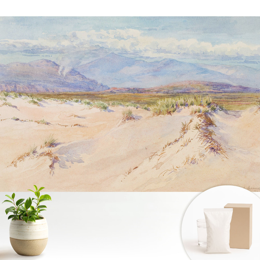 Peisaj deșertic cu munți îndepărtați