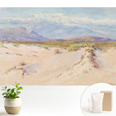 Peisaj deșertic cu munți îndepărtați