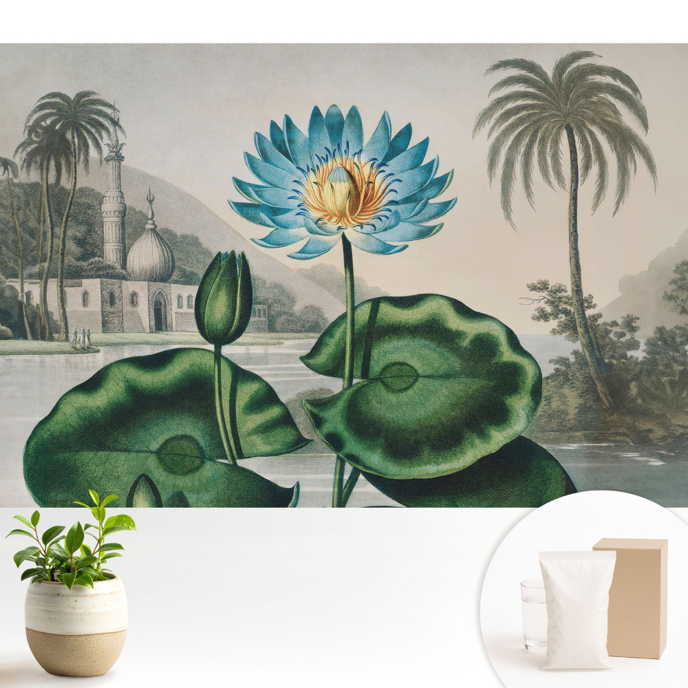 Un crin exotic într-un cadru tropical