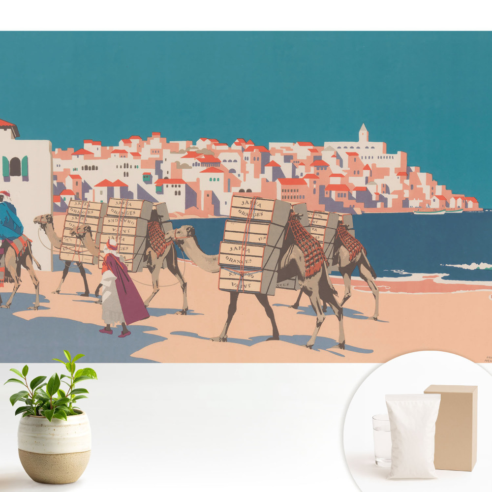 Ilustrație a unei caravane de cămile pe mare