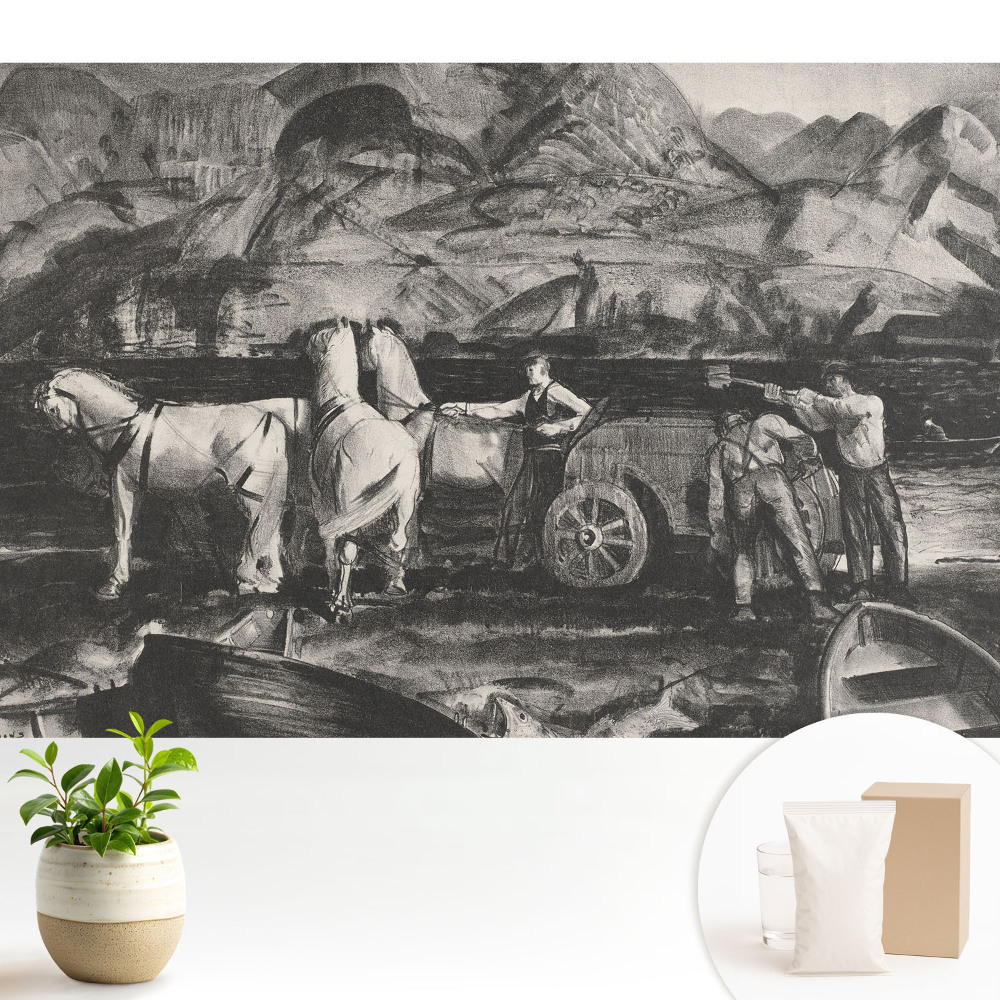 Munca la munte cu caii