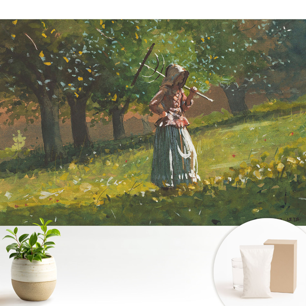 Plimbarea unei doamne în parc