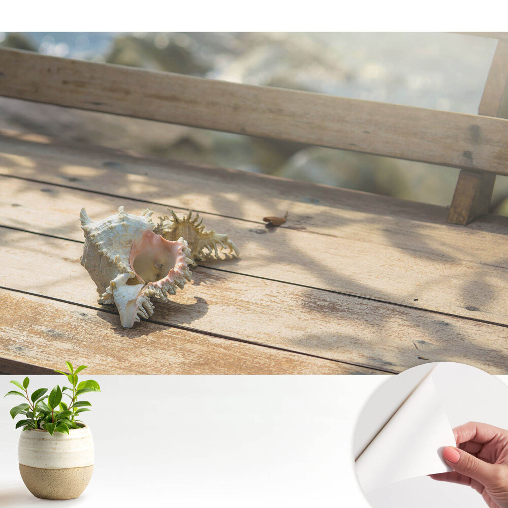 O scoică pe o bancă de lemn