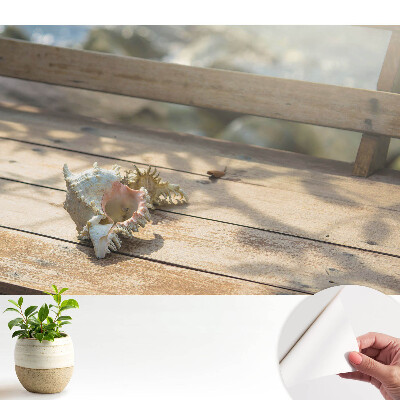 O scoică pe o bancă de lemn