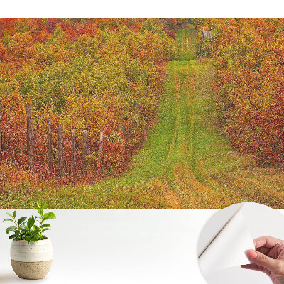 Un drum de toamnă printre copaci colorați