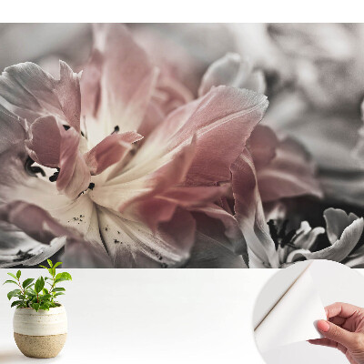 Prim-plan al petalelor delicate de flori