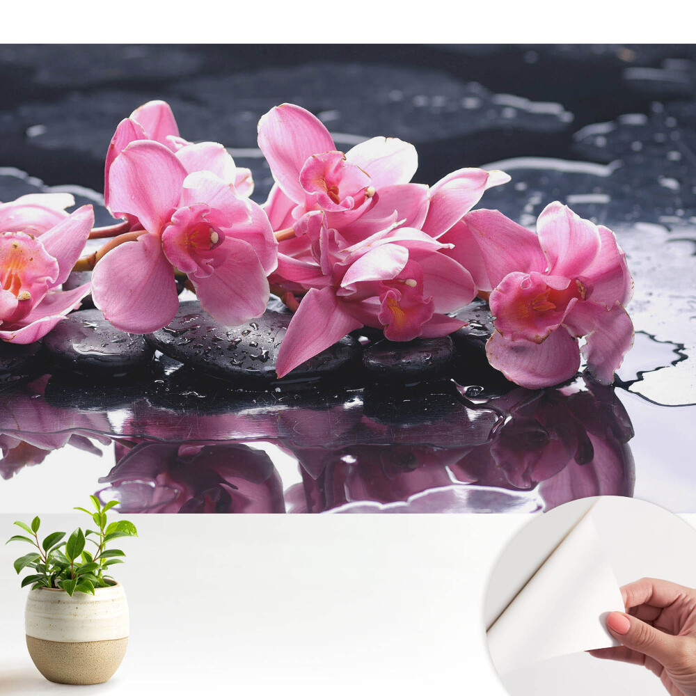 Orhidee roz pe pietre