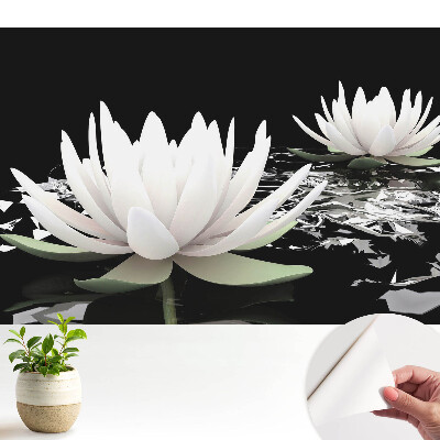 Nuferi eleganți pe fundal întunecat