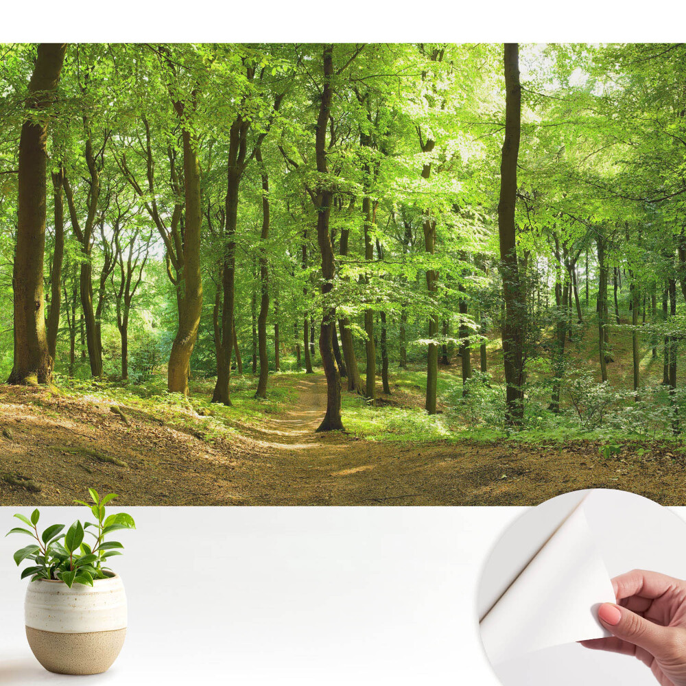 Pădure verde proaspătă