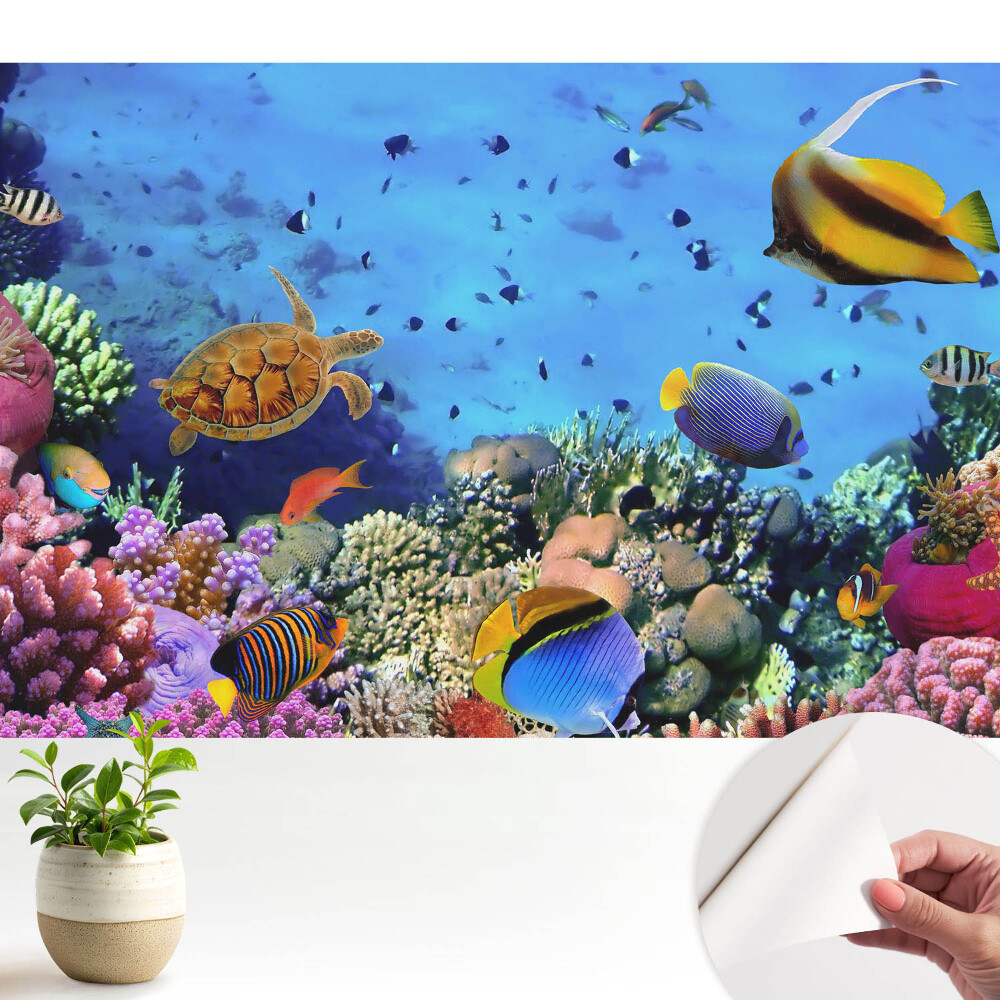 O lume subacvatică plină de culoare