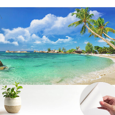 Palmieri exotici pe plajă