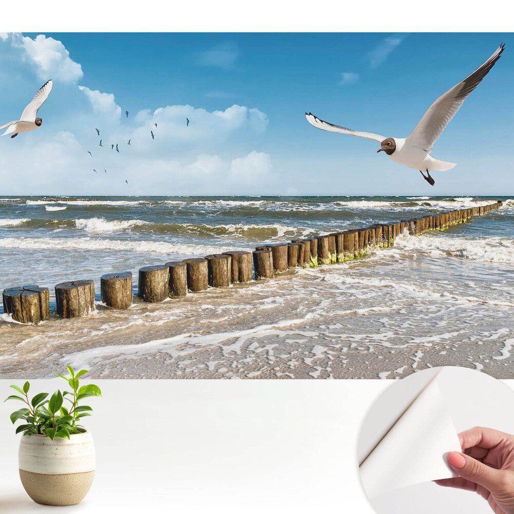 Pescăruși deasupra mării