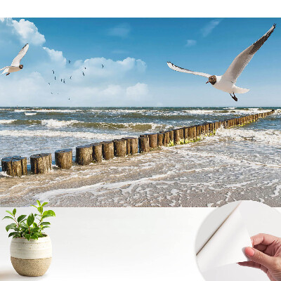 Pescăruși deasupra mării