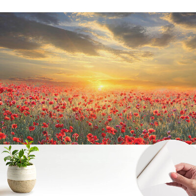 Un câmp de maci la răsărit și un apus de soare uimitor