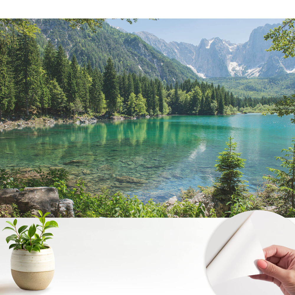 Frumusețe și armonie naturală