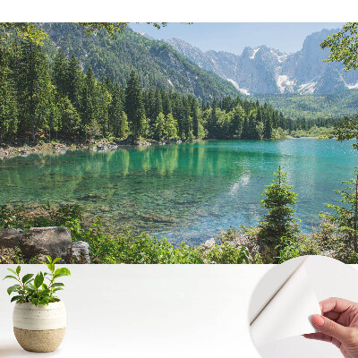 Frumusețe și armonie naturală