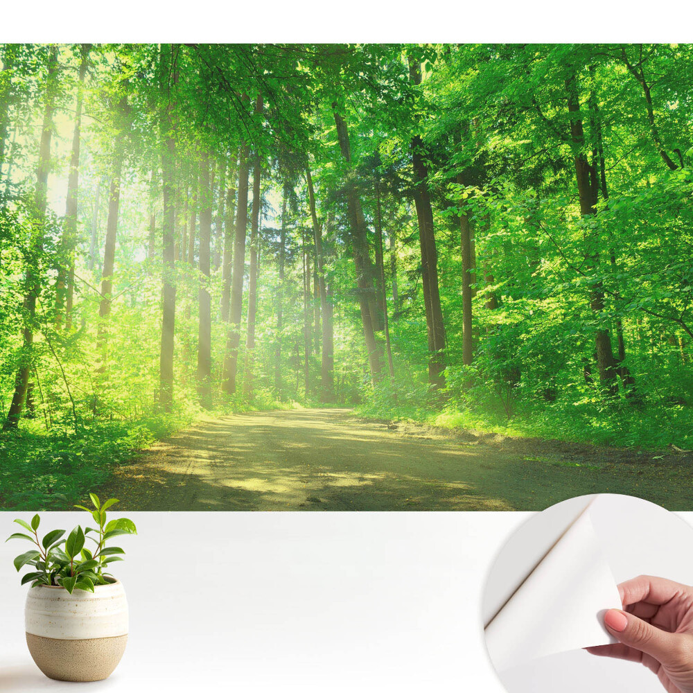 Pace verde a soarelui în pădure