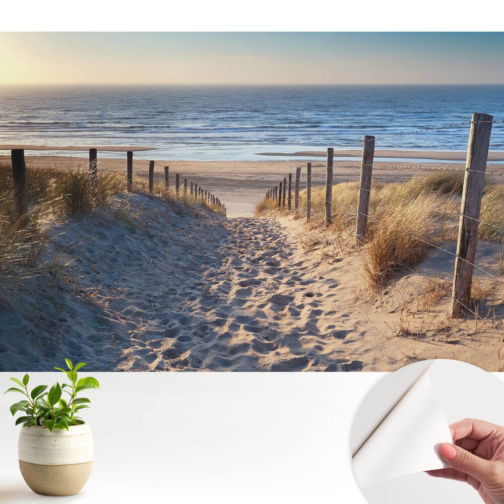 Calea prin dune spre mare