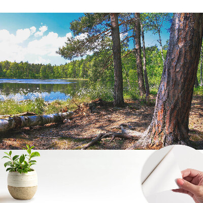 Peisaj forestier lângă lac, pace naturală