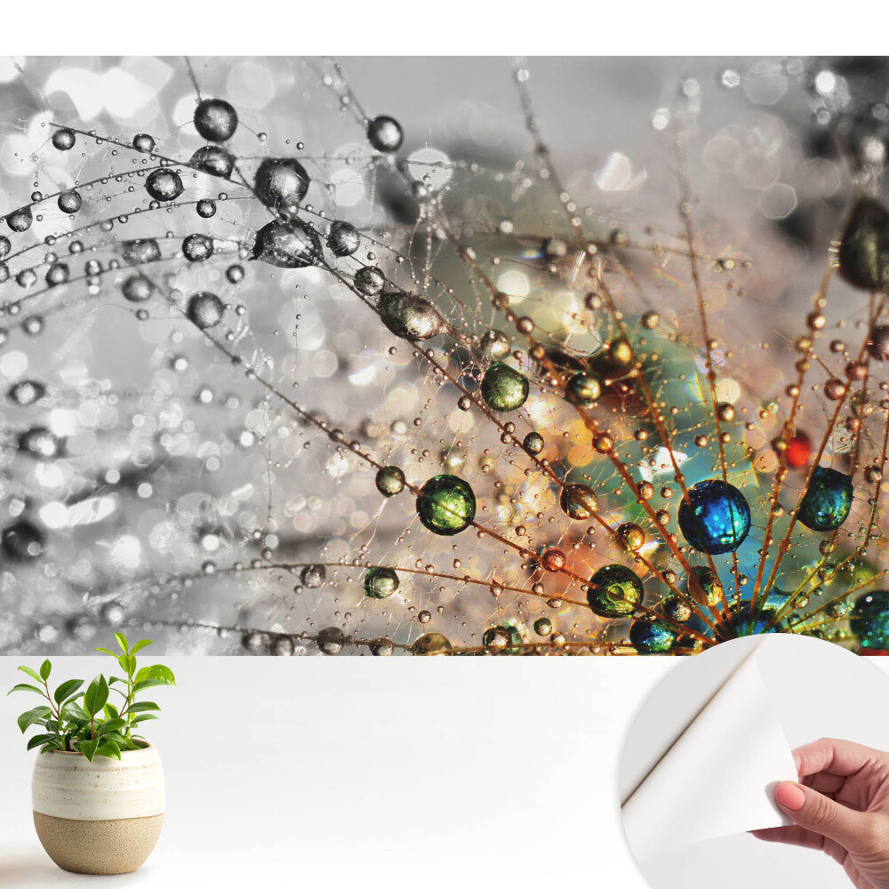 Culorile picăturilor de pe pânza de păianjen