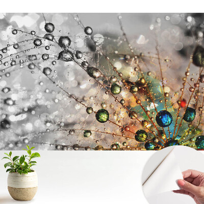 Culorile picăturilor de pe pânza de păianjen