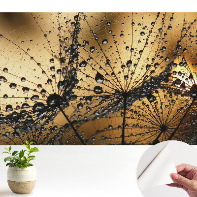 Picături elegante pe plasă sub lumină