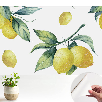 Model cu lămâie verde suculent