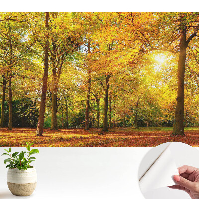 Panoramă de toamnă a pădurii pline de frunze colorate