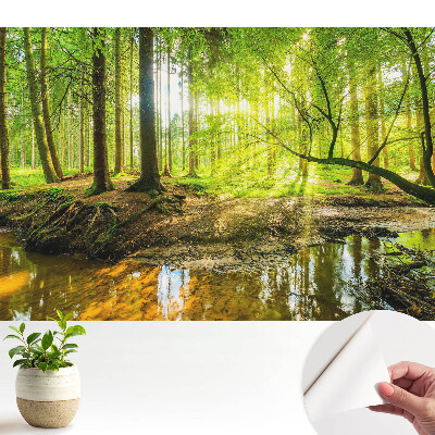 Pace în pădure, lumină, pârâu