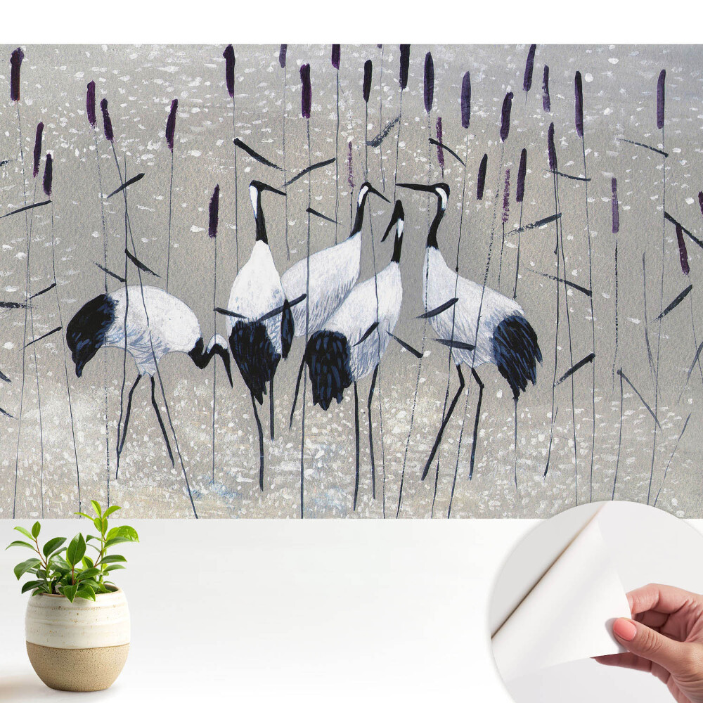 Macari eleganți printre iarbă