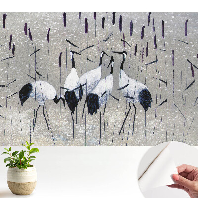 Macari eleganți printre iarbă