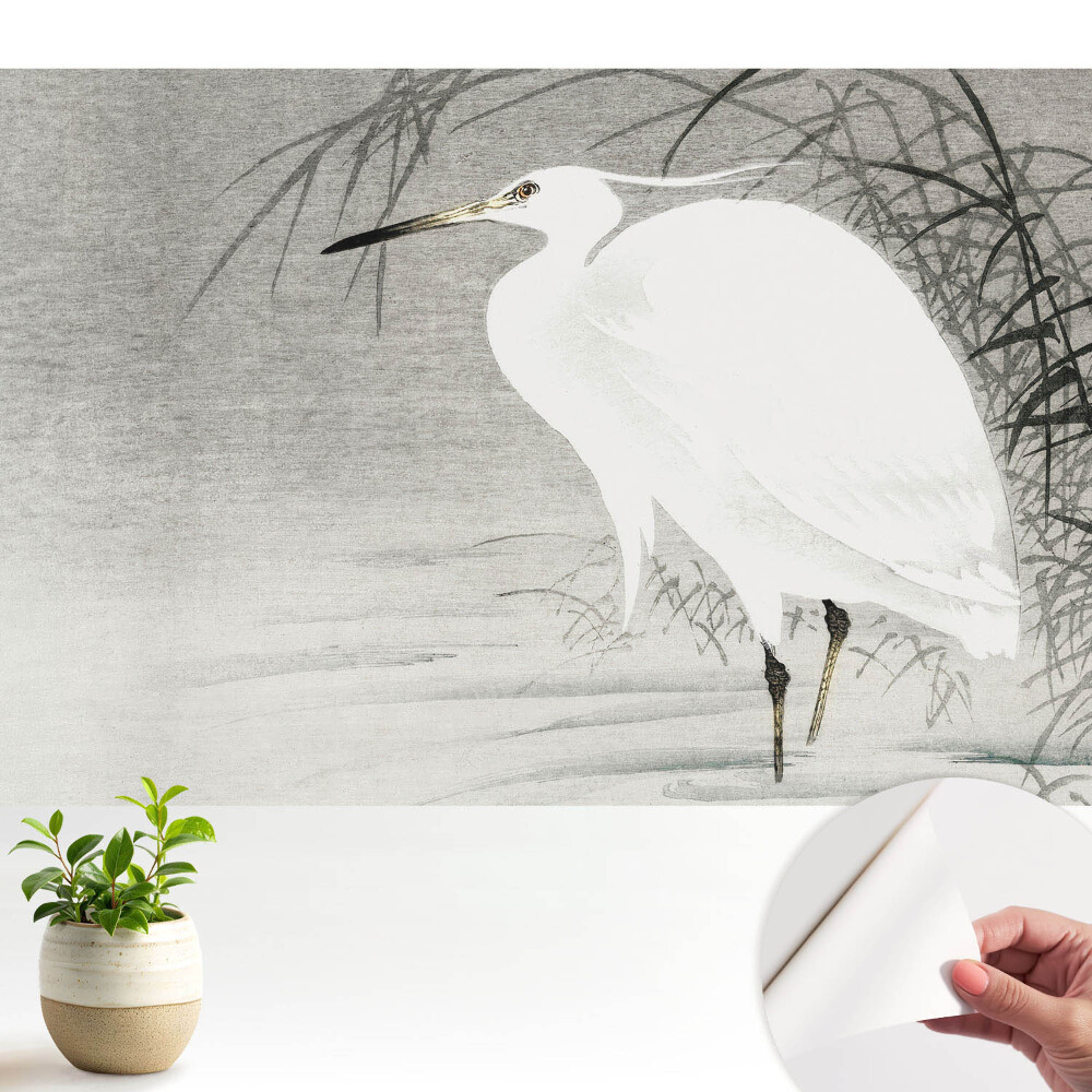 Stârc pe fundalul stufului